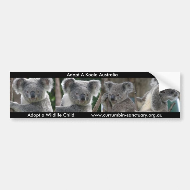 Adesivo Para Carro Bumper Sticker Adota Koala Austrália (Frente)