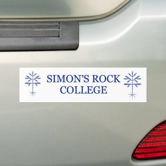 Adesivo Para Carro Bumper Sticker com Blue SRC e Saping (No carro)