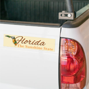 Adesivo Para Carro Bumper Sticker - FLORIDA
