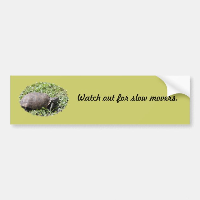 Adesivo Para Carro Bumper Sticker, Gopher Tortoise (Frente)