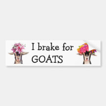 Bumper Sticker - I Braço Para Gatos