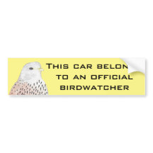 Bumper-Sticker Kestrel Americano Amarelo