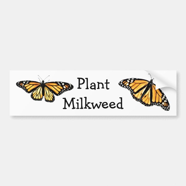 Adesivo Para Carro Bumper Sticker - Plant Milkweed (Frente)