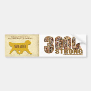 Adesivo Para Carro Bumper Sticker - Somos 3000 Fortes