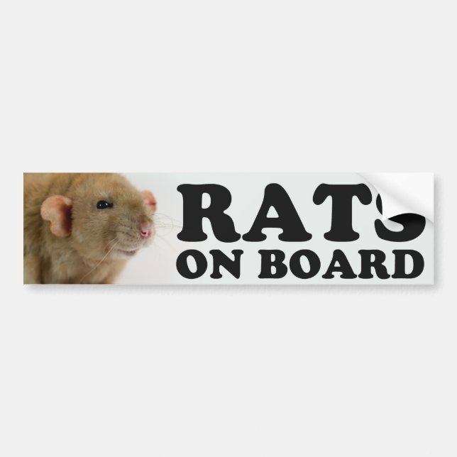 Adesivo Para Carro (Burmese) Ratos ele board (Frente)