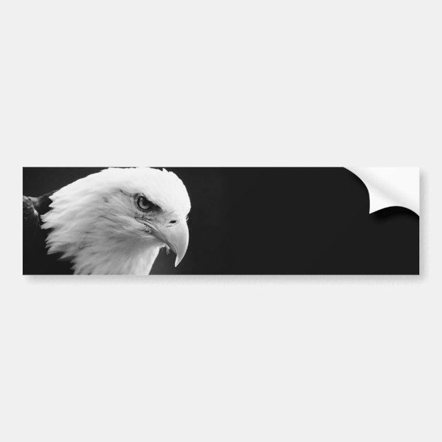 Adesivo Para Carro BW Bald Eagle (Frente)
