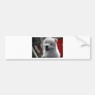Adesivo Para Carro Cachorro Samoed