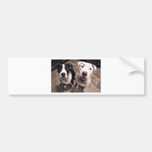 Adesivo Para Carro cachorros pitbull adoráveis