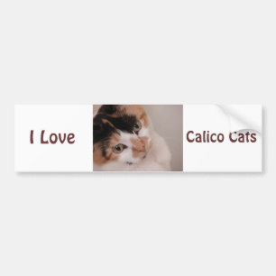 Adesivo Para Carro Calico Beauty Cat