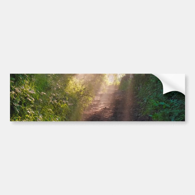Adesivo Para Carro Caminho da Floresta (Frente)