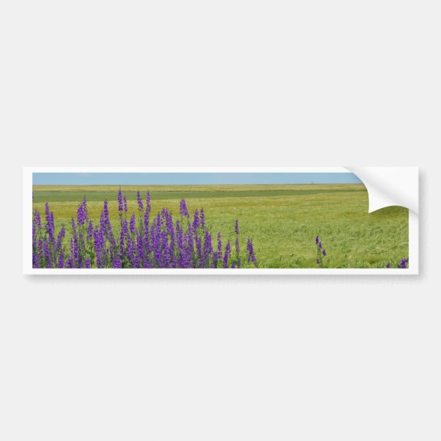Adesivo Para Carro Campos de Trigo com Flores Silvestres Roxas (Frente)