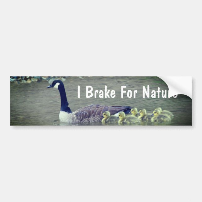 Adesivo Para Carro Canada Goose Babies I Brake For Nature  (Frente)