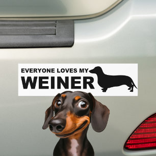 Adesivo Para Carro Cão "Dachshund" de Hillarie Weiner