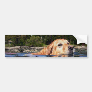 Adesivo Para Carro Cão-de-Água - Bumpersticker