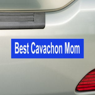 Adesivo Para Carro Cão-de-Boca-Cola Real Azul Melhor Cavachon