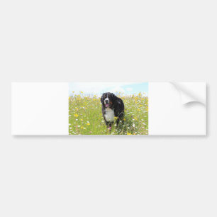 Adesivo Para Carro cão de montanha bernês no campo