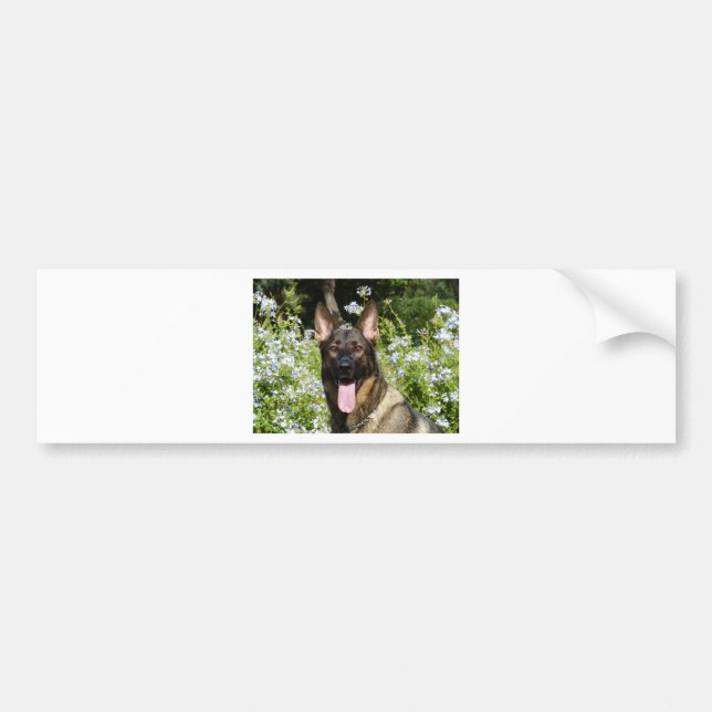 Adesivo Para Carro Cão german shepherd (Frente)