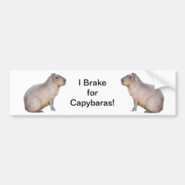 Adesivo Para Carro Capybara