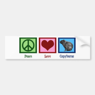 Adesivo Para Carro Capybaras do amor da paz