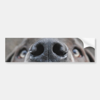 Adesivo Para Carro Cara Nariz do Great Dane
