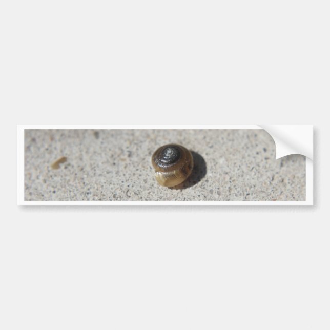 Adesivo Para Carro Caracol Louco (Frente)