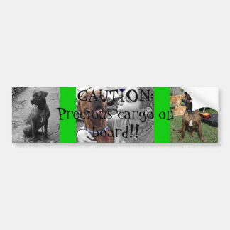 Adesivo Para Carro Carga preciosa