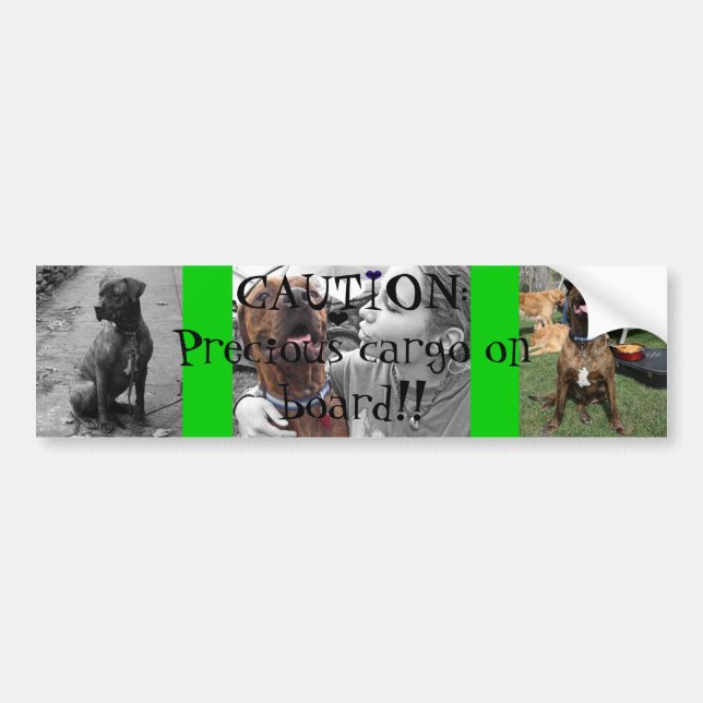 Adesivo Para Carro Carga preciosa (Frente)