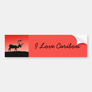 Adesivo Para Carro Caribe no Sunset - Arte original sobre a vida selv
