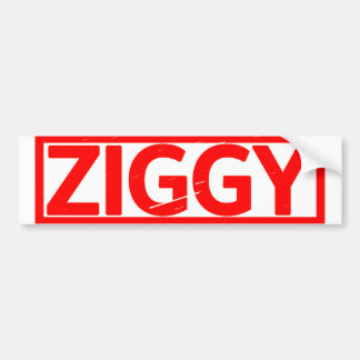 Adesivo Para Carro Carimbo Ziggy