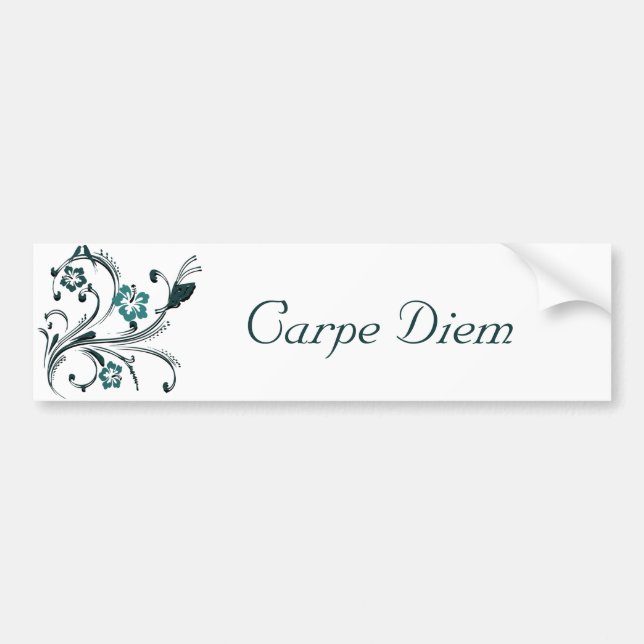 Adesivo Para Carro Carpe Diem (Frente)