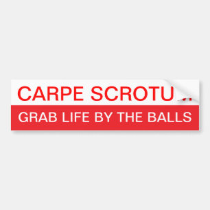 Adesivo Para Carro Carpe Diem?
