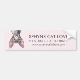 Adesivo Para Carro Carro do Gato Canadense Sphynx Rosa Elegante