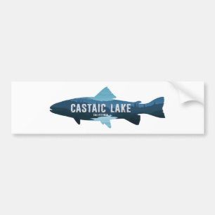 Adesivo Para Carro Castaic Lake California Peixes