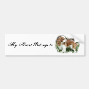 Adesivo Para Carro Cavaleiro Rei Charles Spaniel