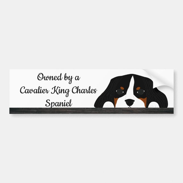 Adesivo Para Carro Cavalier Rei Charles Spaniel Cachorro (Frente)