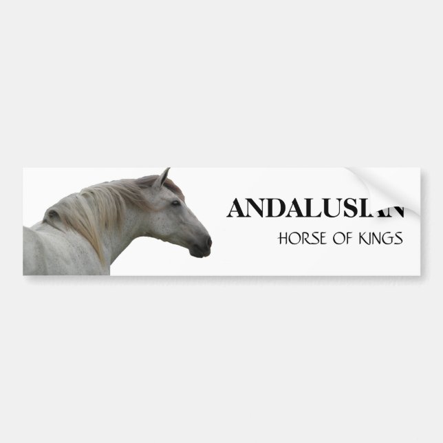 ADESIVO PARA CARRO CAVALO ANDALUZ 2 (Frente)