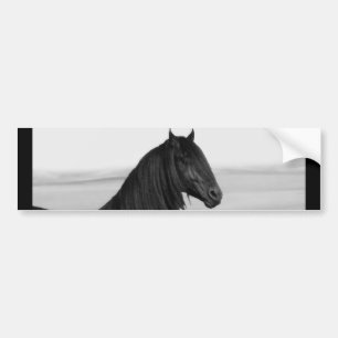 Adesivo Para Carro Cavalo de garanhão preto da Frísia orgulhoso
