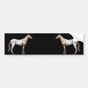 Adesivo Para Carro Cavalo de Nez Perce