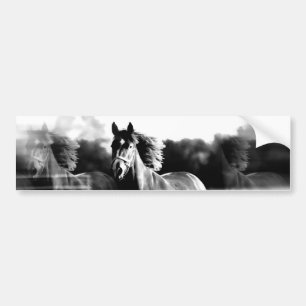 Adesivo Para Carro &Cavalo em Execução B&W