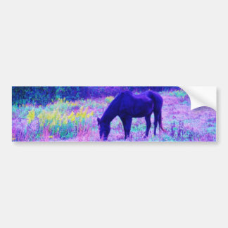 Adesivo Para Carro Cavalo Negro Roxo no campo Arco-íris