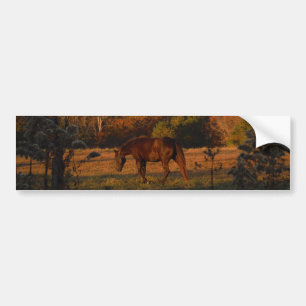 Adesivo Para Carro Cavalo vermelho marrom, madeiras do outono