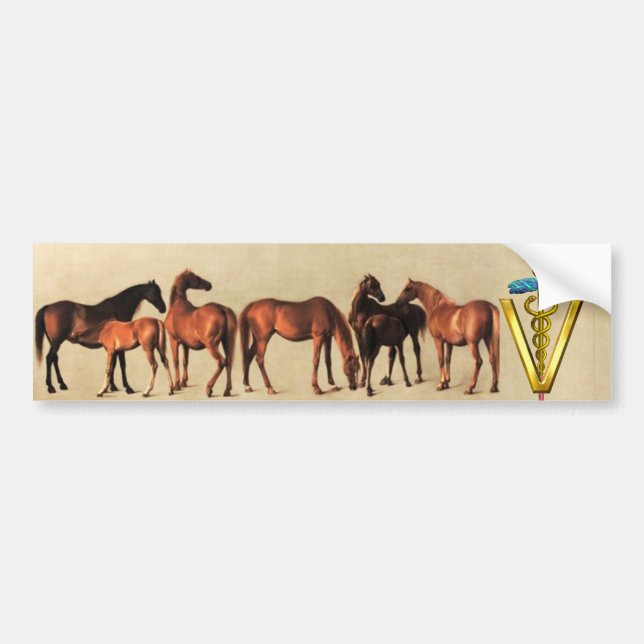 ADESIVO PARA CARRO CAVALOS/MARES E SÍMBOLOS VETERINÁRIOS DOS CAVALOS (Frente)
