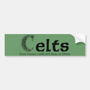 Adesivo Para Carro Celts