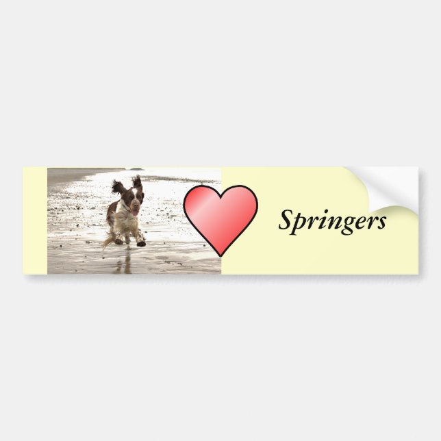 Adesivo Para Carro Charlie Springer (Frente)