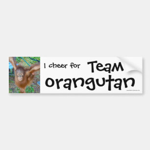 Adesivo Para Carro Cheerleader dos animais selvagens: Orangotango da