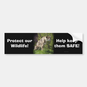Adesivo Para Carro Cheetah Wild Cat Bumpersticker