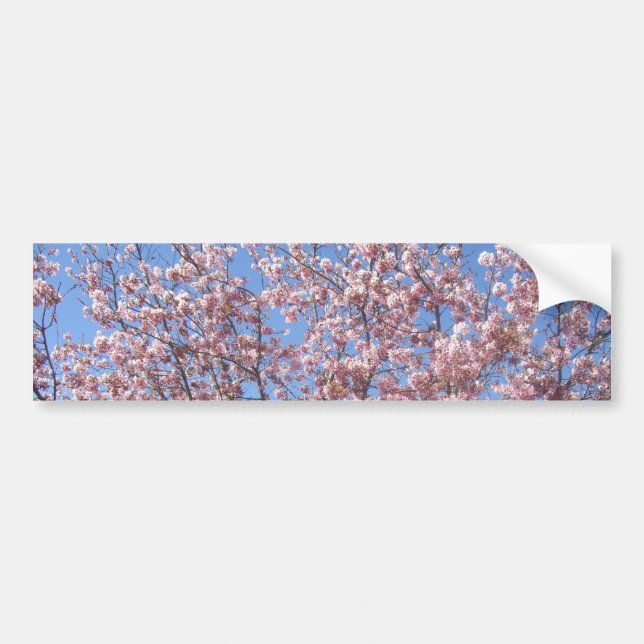 Adesivo Para Carro Cherry Blossoms (Frente)