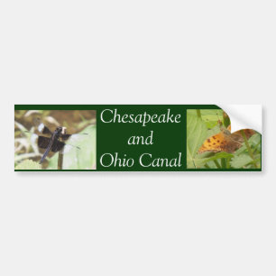 Adesivo Para Carro Chesapeake e canal de Ohio