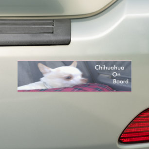 Adesivo Para Carro Chihuahua no Conselho