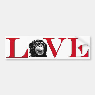 Adesivo Para Carro Chimp Lover Bumpersticker